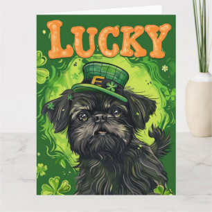 Affenpinscher St. Patrick's Day Dress Karte