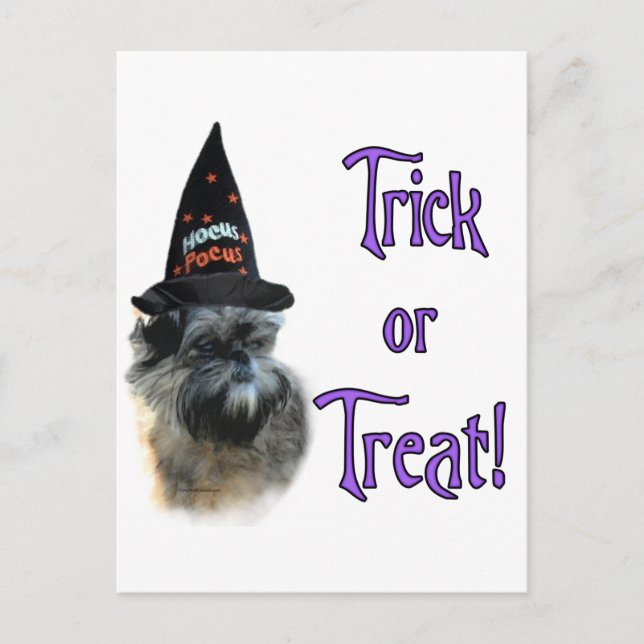 Affenpinscher Trick Postkarte (Vorderseite)