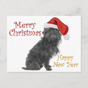 Affenpinscher Weihnachten