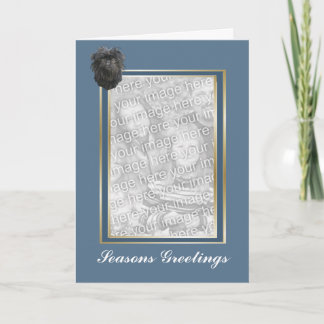 Affenpinscher würzt Gruß-Fotokarte Feiertagskarte