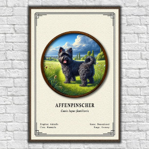 Affenpinscher Zoologie-Serie Poster