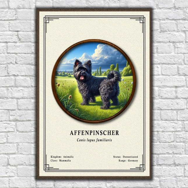 Affenpinscher Zoology Series Poster (Von Creator hochgeladen)