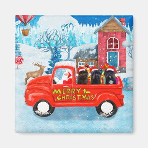 Affenpinschers Dog in Christmas Delivery Truck Magnet