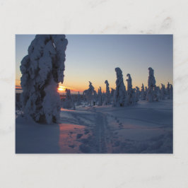 Affiche Couché de soleil sur la forêt en Laponie Postkarte