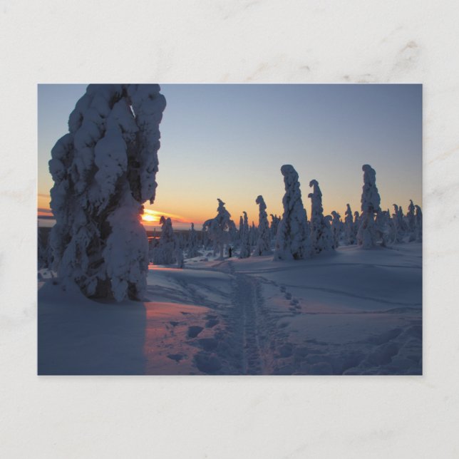 Affiche Couché de soleil sur la forêt en Laponie Postkarte (Vorderseite)