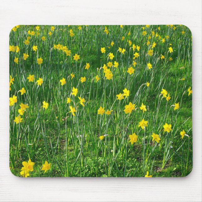 Affodien/Narzisse Mousepad (Vorne)