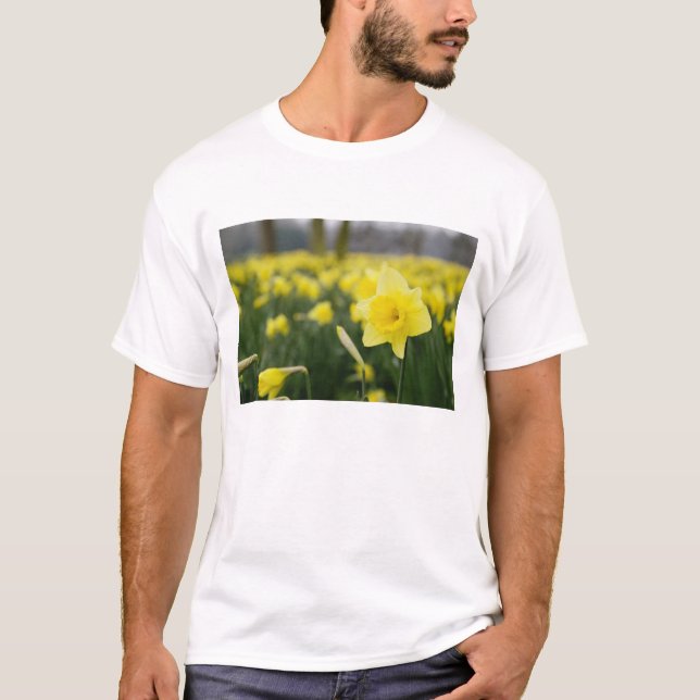 Affodien (RF) T-Shirt (Vorderseite)