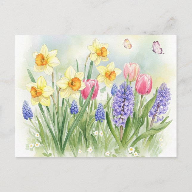 Affodien, Tulpen, Hyazinthen, Schmetterlinge Postk Postkarte (Vorderseite)
