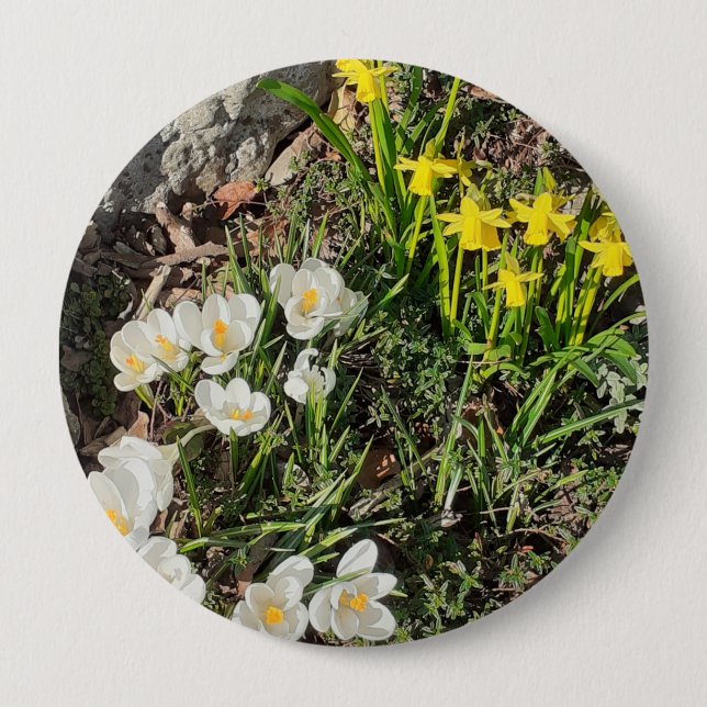 Affodien und Crocus Abzeichen Button (Vorderseite)