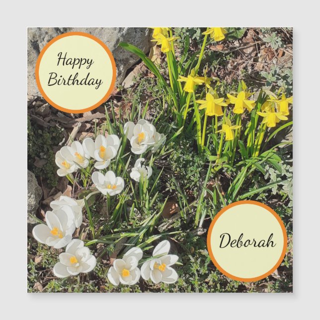 Affodien und Crocus Magnetic Birthday Card Magnetkarte (Vorderseite)
