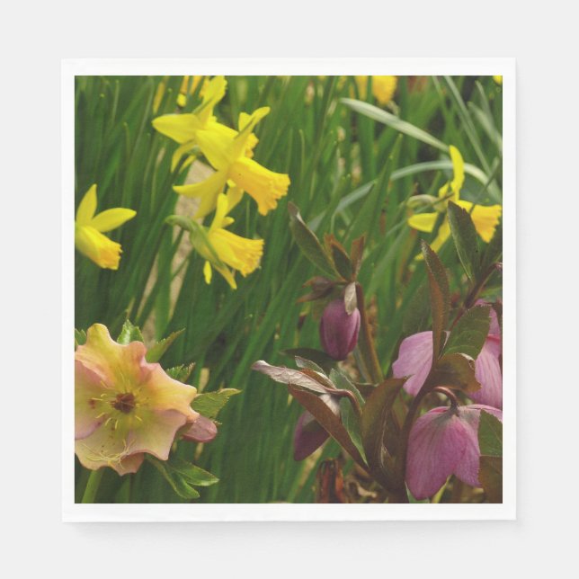 Affodien und Lenten-Rose farbenfroh Serviette (Vorderseite)