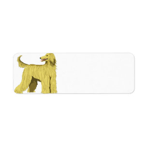 afghan hound art.png