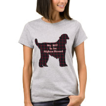 AFGHAN HOUND BESTE FREUNDIN