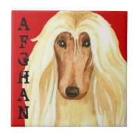Afghan Hound Color Block