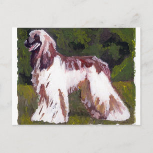 Afghan Hound Dog Postkarte