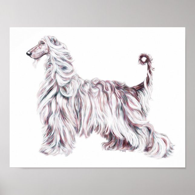 Afghan Hound Elegance Poster (Vorne)