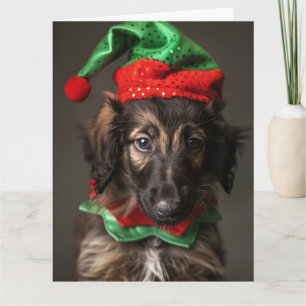 Afghan Hound Elf Welpe Weihnachtskarte Karte