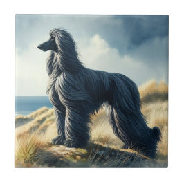 Afghan Hound Fliese