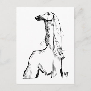 Afghan Hound Gesture Sketch Postkarte