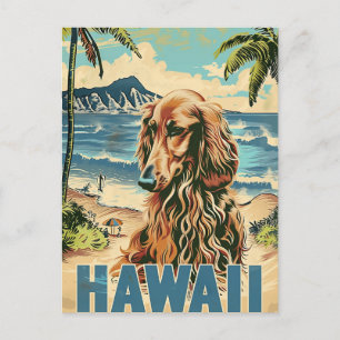 Afghan Hound Hawaii Urlaub Postkarte