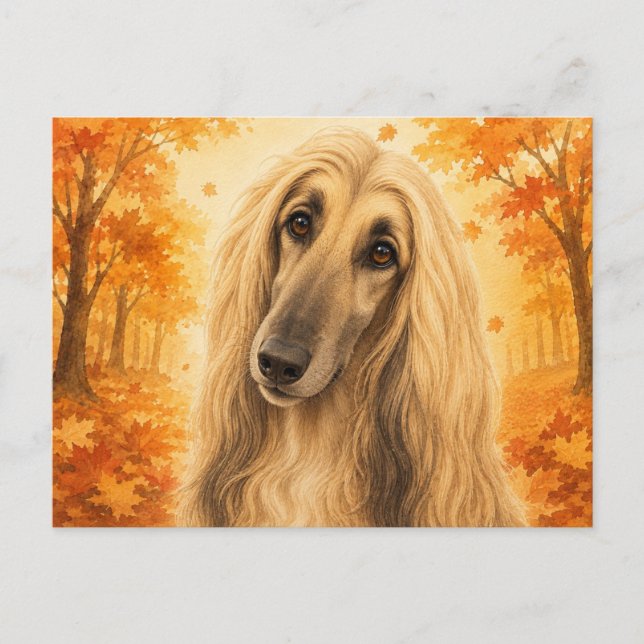 Afghan Hound Herbstwald Hund Postkarte (Vorderseite)