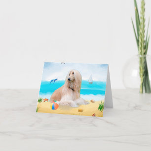 Afghan Hound Hund am Strand Karte