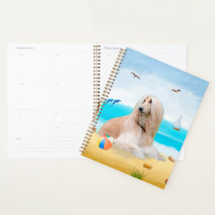 Afghan Hound Hund am Strand Planer