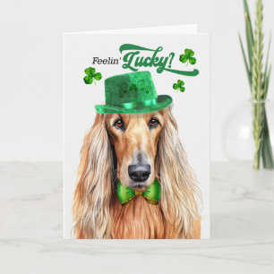 Afghan Hound Hund Glücklicher St. Patricks Tag Feiertagskarte