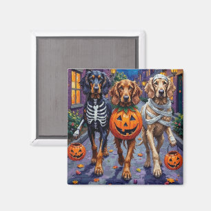 Afghan Hound Hunde beim Trick-or-Treat an Hallowee Magnet