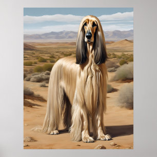 Afghan Hound - Hundekunst drucken Poster