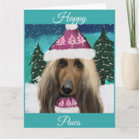 Afghan Hound
