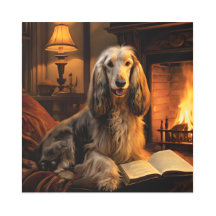 Afghan Hound liest ein Buch Vintage