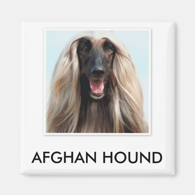 Afghan Hound Magnet (Vorne)