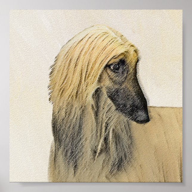 Afghan Hound Malerei - Niedliche Original Dog Art Poster (Vorne)