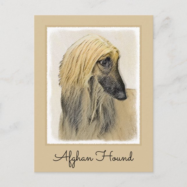 Afghan Hound Malerei - Niedliche Original Dog Art Postkarte (Vorderseite)