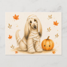 Afghan Hound-Mumie Halloween