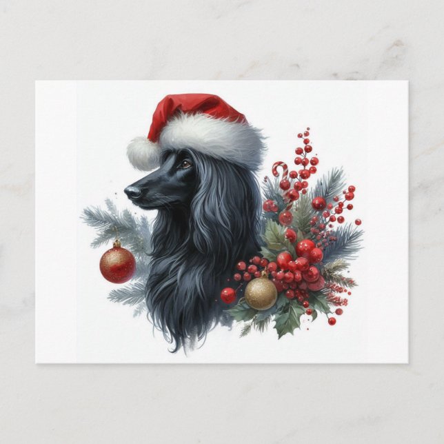 Afghan Hound Postcard Feiertagspostkarte (Vorderseite)