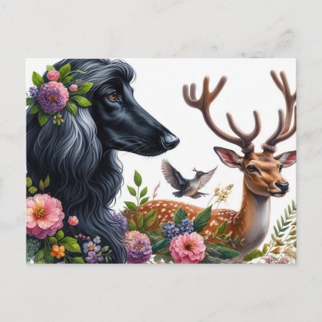 Afghan Hound Postcard Postkarte (Vorderseite)