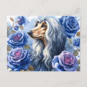 Afghan Hound Postcard Postkarte