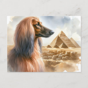 Afghan Hound Postcard Postkarte
