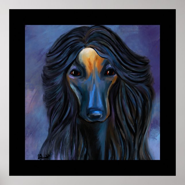 Afghan Hound Poster (Vorne)