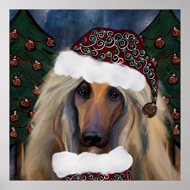 AFGHAN HOUND POSTER (Vorne)