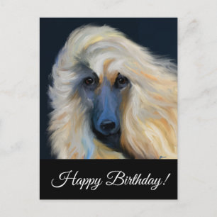 Afghan Hound Postkarte