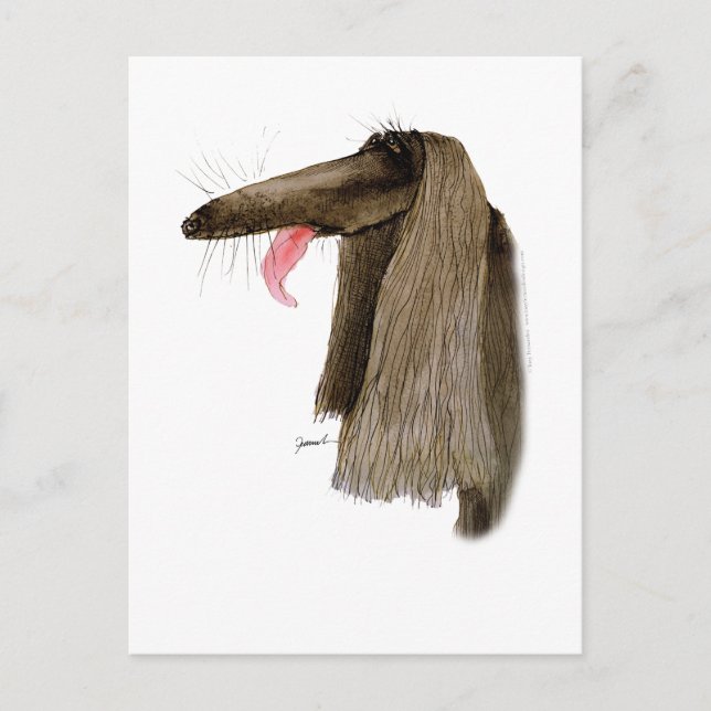 Afghan Hound, tony fernandes Postkarte (Vorderseite)