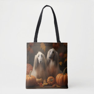 Afghan Hound Welpe Herbstfreude Kürbis