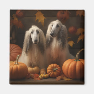 afghan Puppy Autumn Delight Pumpkin Magnet