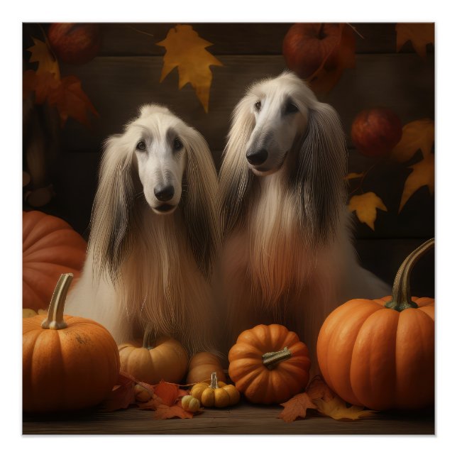 afghan Puppy Autumn Delight Pumpkin Poster (Vorderseite)