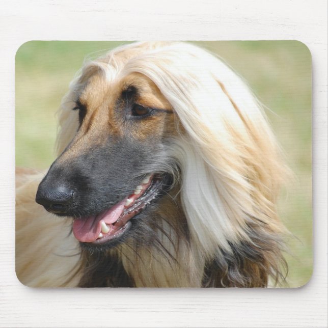 Afghane HoundPuppy Hund Mousepad (Vorne)