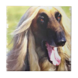 Afghanische Hound Art Fliese