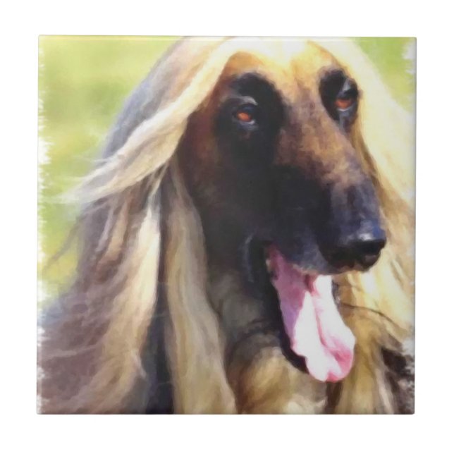 Afghanische Hound Art Fliese (Vorderseite)
